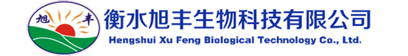 上海聚擎信息科技公司